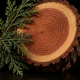 Cedarwood