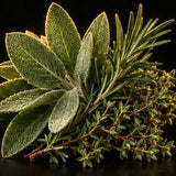 Lemon Verbena