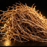 Vetiver
